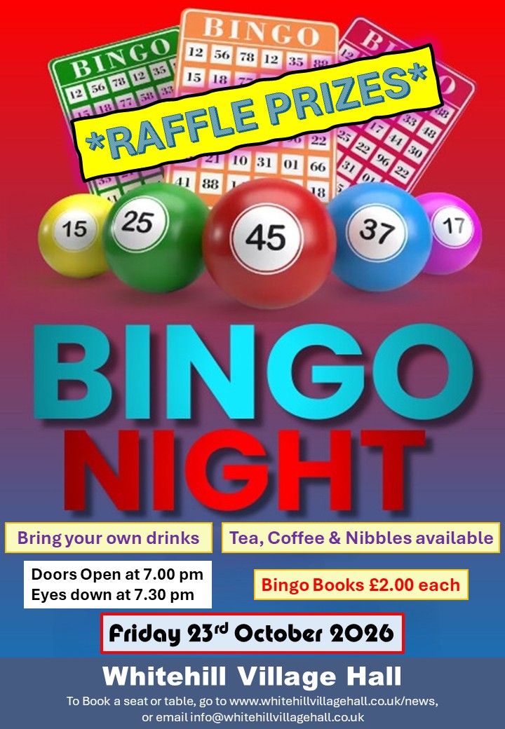 Bingo 2